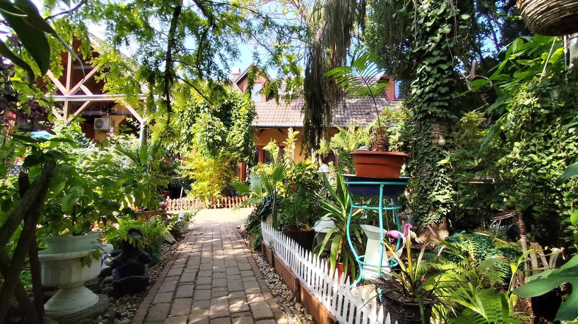 Katica Vendeghaz Apartment Siofok Exterior photo