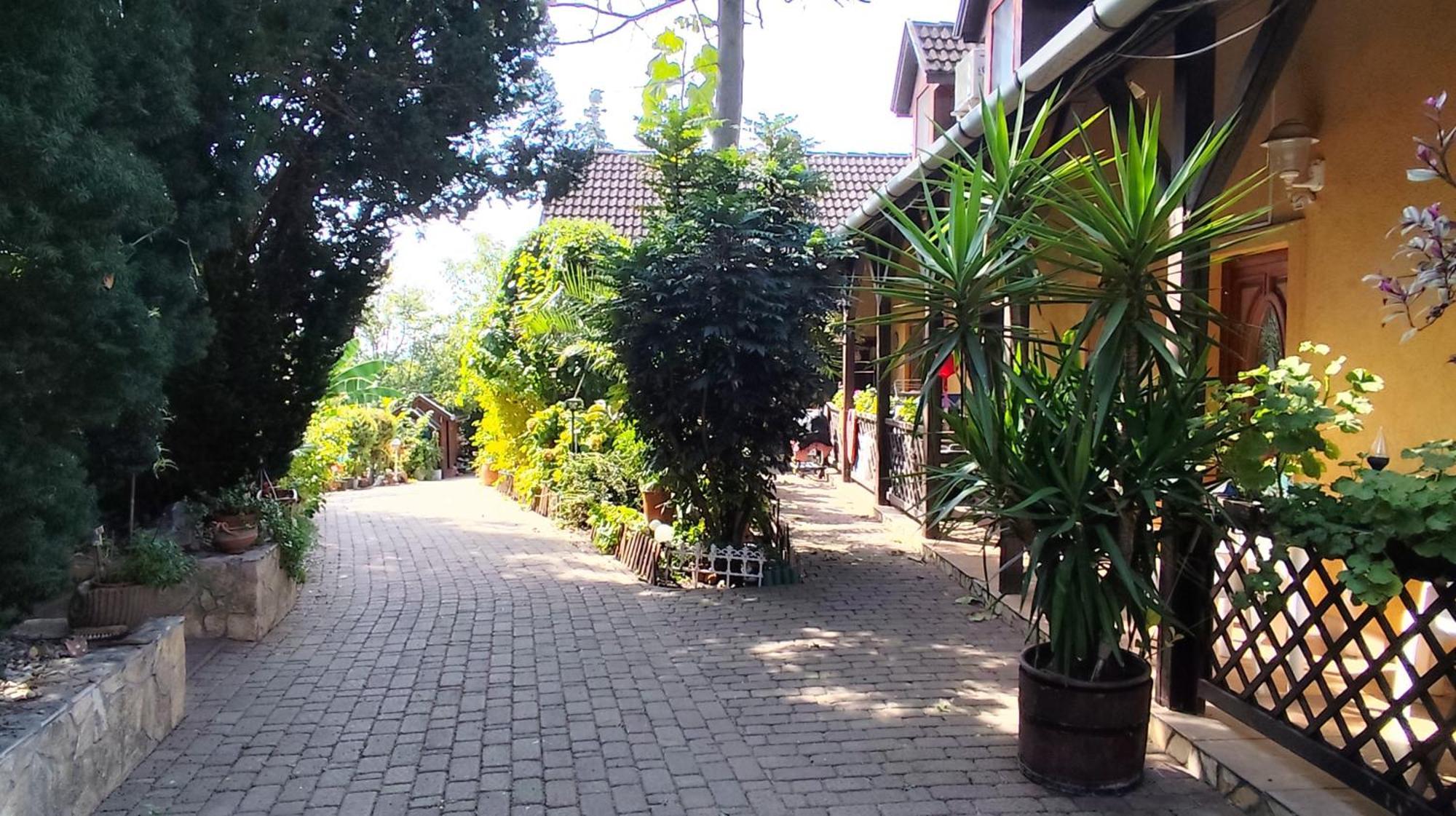 Katica Vendeghaz Apartment Siofok Exterior photo